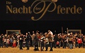 Pferd u Jagd   060